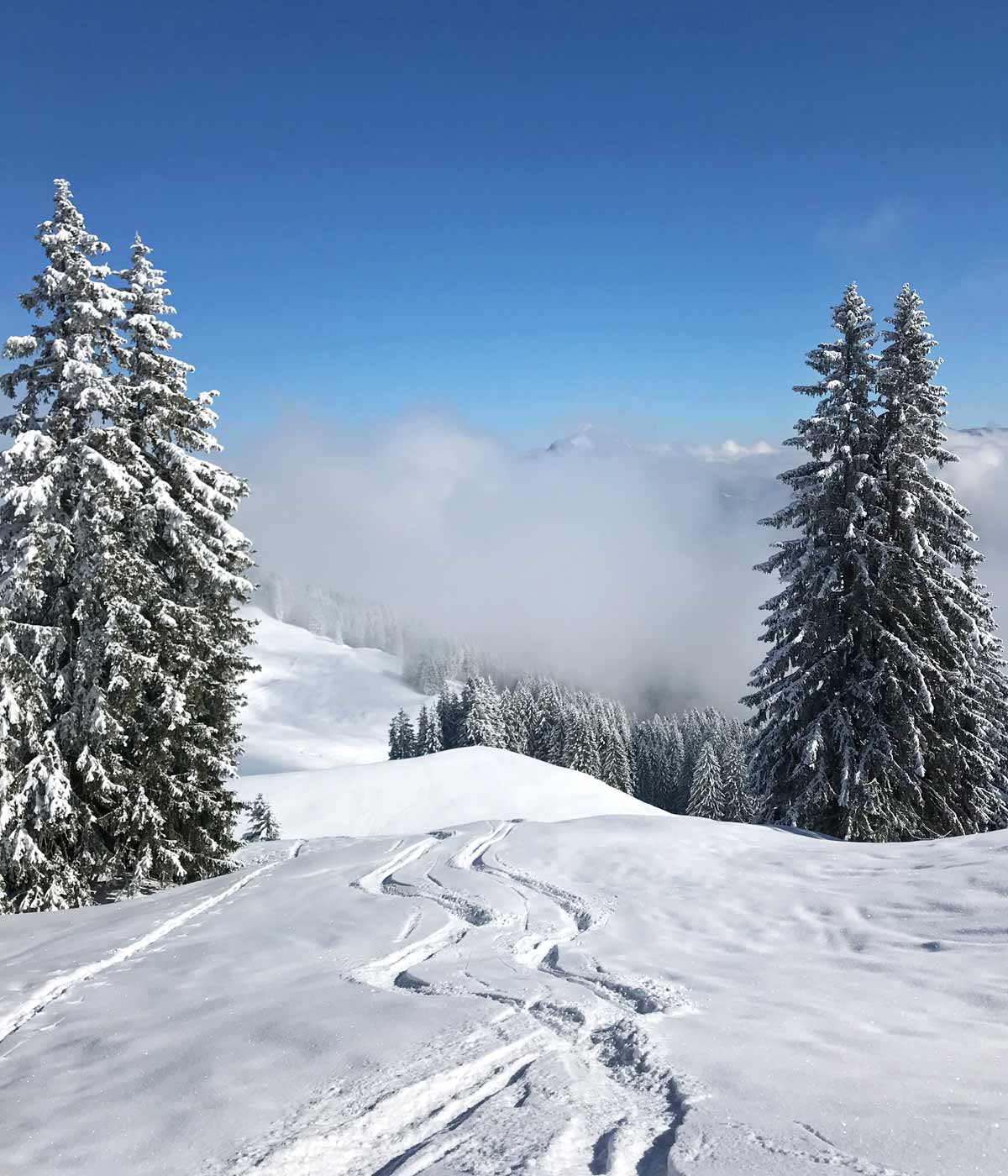 Sommer im Allgäu